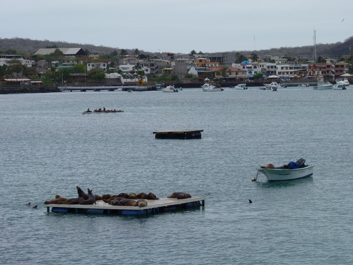 Hostal Nathaly Puerto Baquerizo Moreno Buitenkant foto